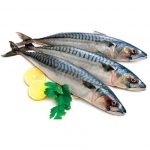 Mackerel Fish (Titus)
