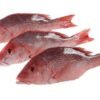 Red Snapper Fish x 4. Red snapper is a popular fish found all around the world, well known for its…