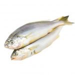 Yellow Croaker Fish Medium 3kg